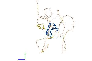 Protein Structure (PS) image for SRY (Sex Determining Region Y)-Box 11 (SOX11) (AA 1-441) protein (His tag) (ABIN7546197)