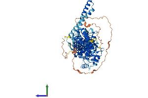 AlphaFold protein structure predicition of Human Recombinant RHPN2 Protein, UniprotID Q8IUC4