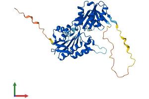 Protein Structure (PS) image for phosphoribosyl Pyrophosphate Synthetase-Associated Protein 2 (PRPSAP2) (AA 1-369) protein (His tag) (ABIN7548933)