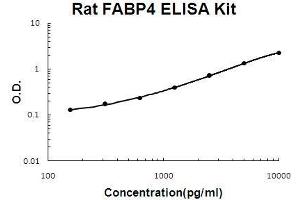 Rat FABP4 PicoKine ELISA Kit standard curve