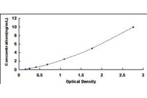 Typical standard curve (PDIA2 ELISA Kit)