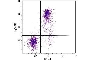 BALB/c mouse splenocytes were stained with Rat Anti-Mouse IgD-PE. (Ratte anti-Maus IgD Antikörper (PE))