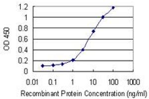 Detection limit for recombinant GST tagged SLC18A1 is 0. (SLC18A1 Antikörper  (AA 1-493))