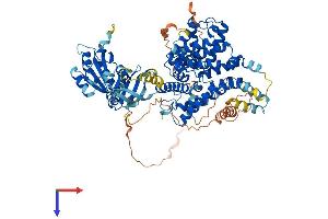 PDE8A Protein (AA 1-823) (His tag)