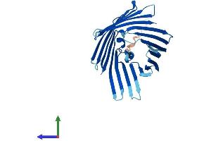 AlphaFold protein structure predicition of Mouse Recombinant Tomm40l Protein, UniprotID Q9CZR3