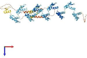 ZNF234 Protein (AA 1-700) (His tag)