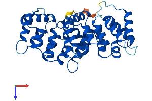 Annexin VIII Protein (AA 1-327) (His tag)