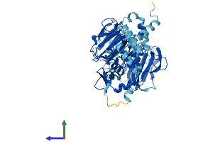 Protein Structure (PS) image for Regulator of Chromosome Condensation (RCC1) and BTB (POZ) Domain Containing Protein 1 (RCBTB1) (AA 1-531) protein (His tag) (ABIN7557968)