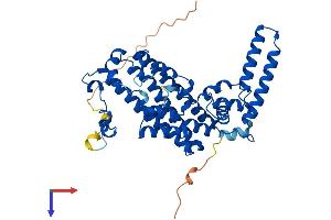 TDO2 Protein (AA 1-406) (His tag)