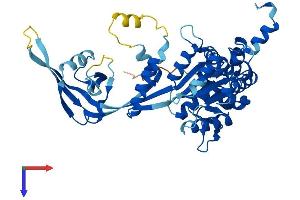 Protein Structure (PS) image for RuvB-Like 1 (E. Coli) (RUVBL1) (AA 1-456) protein (His tag) (ABIN7563487)