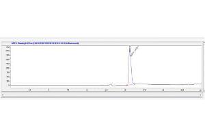 Image no. 1 for Adrenomedullin (ADM) peptide (Ovalbumin) (ABIN5666064) (Adrenomedullin (ADM) peptide (Ovalbumin))