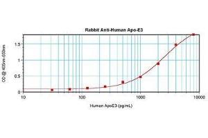 Image no. 1 for anti-Apolipoprotein E (APOE) antibody (ABIN465189) (APOE Antikörper)