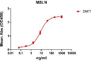 ELISA plate pre-coated by 2 μg/mL (100 μL/well) Human MSLN protein, mFc-His tagged protein (ABIN6961104) can bind Rabbit anti-MSLN monoclonal antibody (clone: DM71) in a linear range of 1-100 ng/mL. (Rekombinanter Mesothelin Antikörper  (AA 296-580))