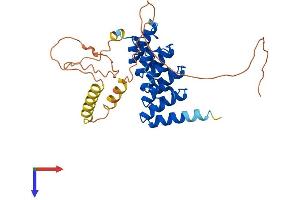 ANKRA2 Protein (AA 1-313) (His tag)