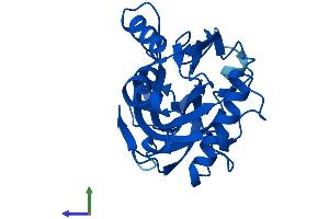 Protein Structure (PS) image for IPP Isomerase 2 (IDI2) (AA 1-227) protein (His tag) (ABIN7548443)