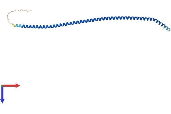 CCDC153 Protein (AA 1-202) (His tag)