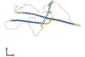 Protein Structure (PS) image for Intermediate Filament Family Orphan 1 (IFFO1) (AA 1-559) protein (His tag) (ABIN7548426)
