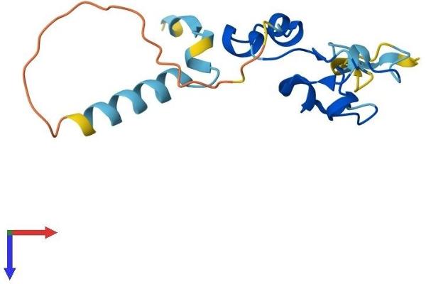 NANOS2 Protein (AA 1-136) (His tag)