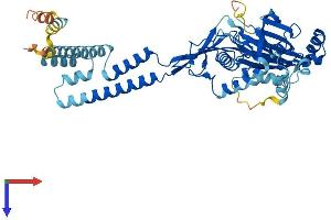 ACCN5 Protein (AA 1-495) (His tag)