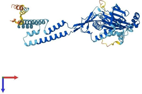 ACCN5 Protein (AA 1-495) (His tag)