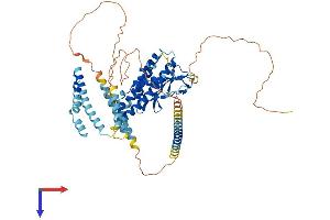 SPATA18 Protein (AA 1-537) (His tag)