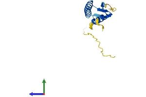 Protein Structure (PS) image for L Antigen Family, Member 3 (LAGE3) (AA 1-143) protein (His tag) (ABIN7548946)