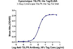 Immobilized Cynomolgus TSLPR, His Tag at 0. (CRLF2 Protein (AA 23-231) (His tag))
