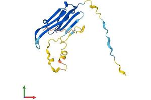 Protein Structure (PS) image for Crystallin, alpha A (CRYAA) (AA 1-173) protein (His tag) (ABIN7546771)