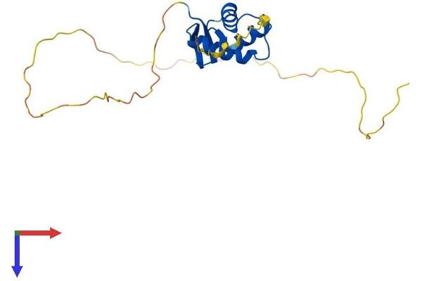 Histone H1 Protein (AA 1-194) (His tag)