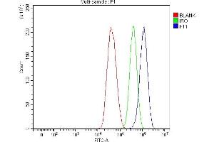 Flow Cytometry analysis of HepG2 cells using anti-FXI/F11 antibody (ABIN7602456).