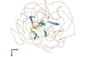 AlphaFold protein structure predicition of Mouse Recombinant Npat Protein, UniprotID Q8BMA5 (NPAT Protein (AA 1-1420) (His tag))