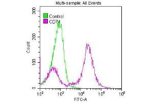 Overlay histogram showing Raji cells stained with ABIN7127283 (red line) at 1:50.