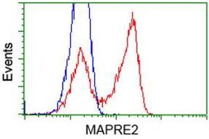 HEK293T cells transfected with either RC200259 overexpress plasmid (Red) or empty vector control plasmid (Blue) were immunostained by anti-MAPRE2 antibody (ABIN2454593), and then analyzed by flow cytometry. (MAPRE2 Antikörper)