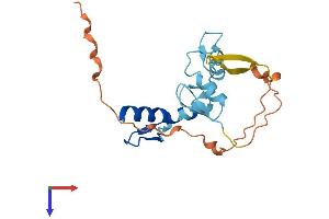 ZNF581 Protein (AA 1-197) (His tag)