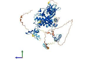 Protein Structure (PS) image for Metastasis Associated 1 Family, Member 2 (MTA2) (AA 1-668) protein (His tag) (ABIN7549549)