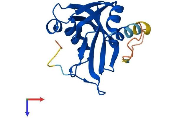 NUDT3 Protein (AA 1-172) (His tag)