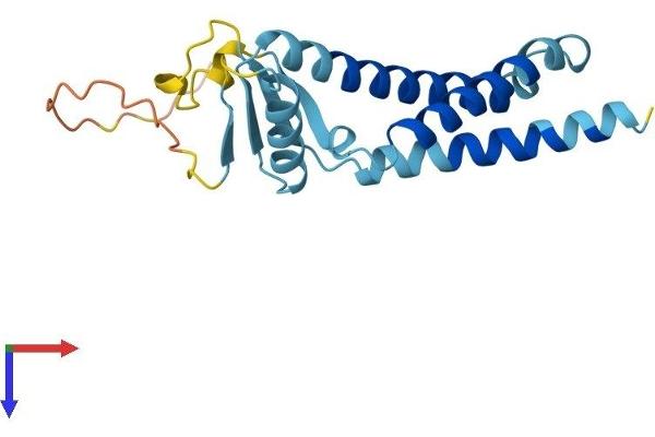 TMEM11 Protein (AA 1-192) (His tag)