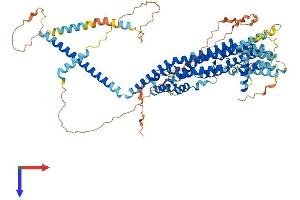 GCFC2 Protein (AA 1-769) (His tag)