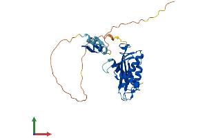 Protein Structure (PS) image for Ribonuclease H1 (RNASEH1) (AA 1-285) protein (His tag) (ABIN7562538)