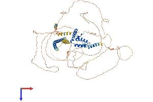 SOX6 Protein (AA 1-827) (His tag)