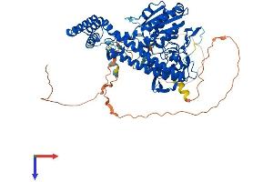 PCIF1 Protein (AA 1-704) (His tag)