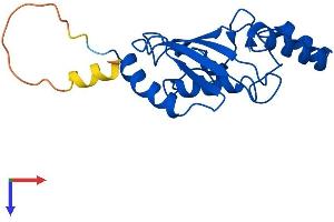 UBE2F Protein (AA 1-185) (His tag)