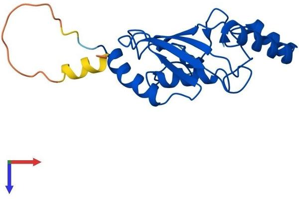 UBE2F Protein (AA 1-185) (His tag)