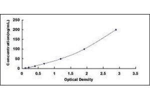 Typical standard curve (ARG ELISA Kit)