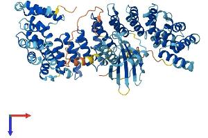 AP4B1 Protein (AA 1-738) (His tag)