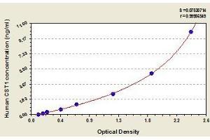 Typical standard curve (CST1 ELISA Kit)