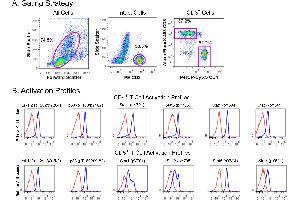 Flow Cytometry (FACS) image for Human T Cell Kit (ABIN1379761)