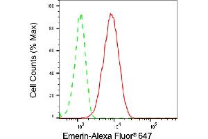 Flow cytometric analysis of Emerin expression in HepG2 cells using Emerin antibody (ABIN7798436), 1:2,000). (Rekombinanter Emerin Antikörper)