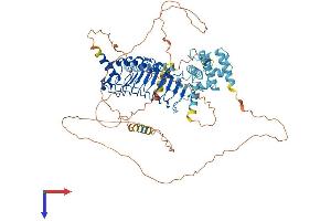 LRCH4 Protein (AA 1-683) (His tag)