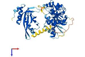 UEVLD Protein (AA 1-471) (His tag)